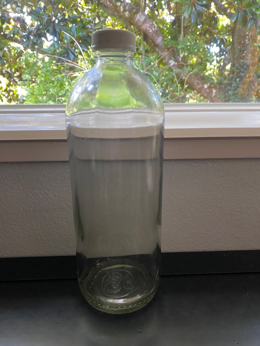 💧Two 48 oz. Large Thick Glass Jugs Screw on Plastic Cap Water Storage Home Brew - Picture 6 of 11